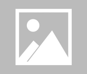 BBIN体育-汉堡球员心系球队，誓要尽力为胜利而战的简单介绍